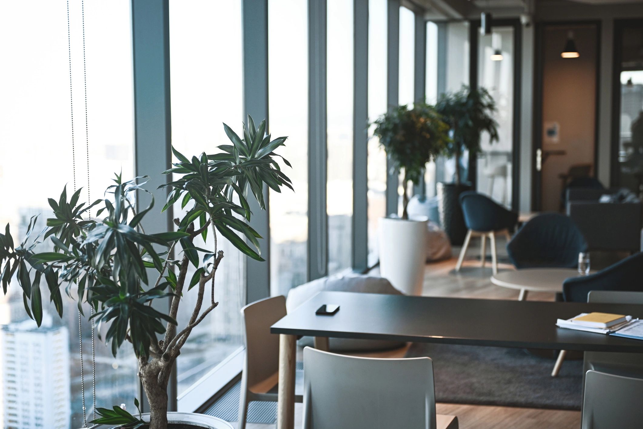 administrative financial coordination modern office
